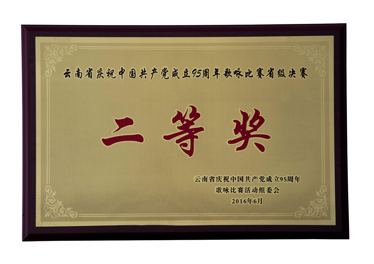 云南省慶祝中國(guó)共產(chǎn)黨成立95周年歌詠比賽省級(jí)決賽二等獎(jiǎng)