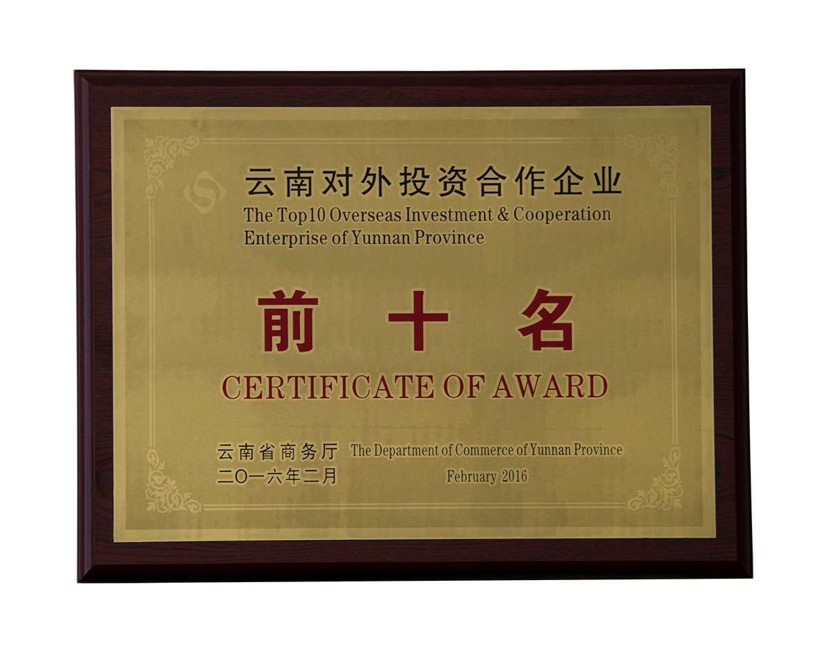 云南對(duì)外投資合作企業(yè)前十名